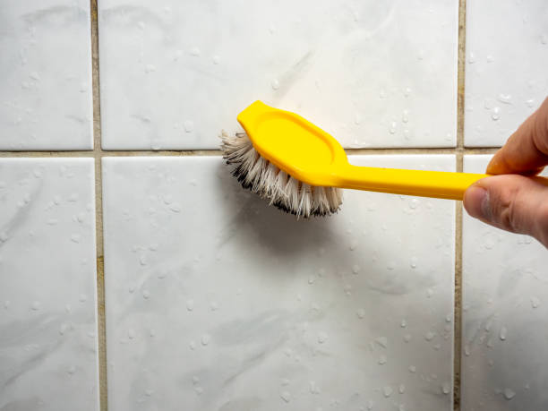 Water Damage Restoration in Cobden, IL