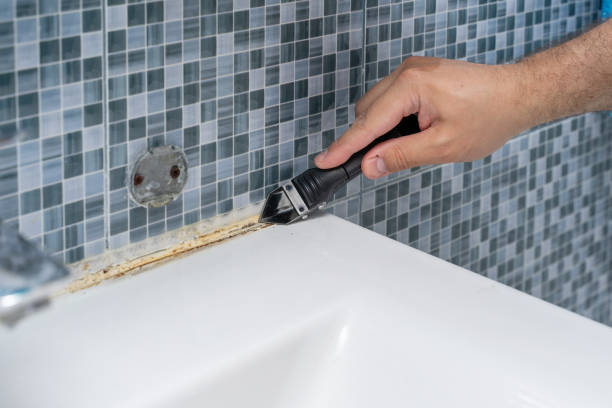 Best Mold Testing  in Cobden, IL